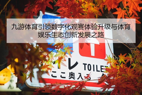 九游体育引领数字化观赛体验升级与体育娱乐生态创新发展之路
